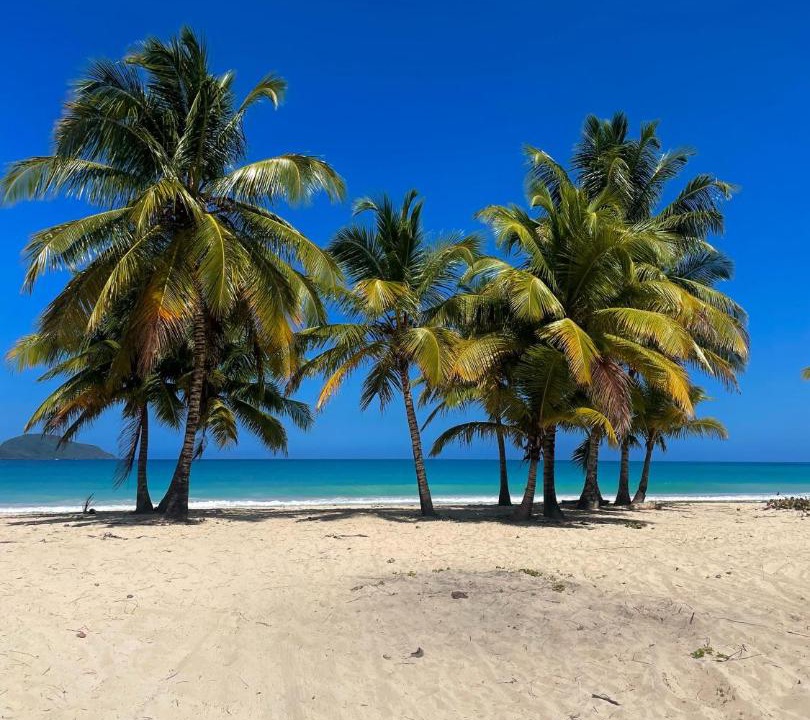 Photo of Others in Las Galeras