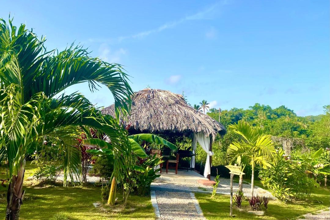 Photo of Others in Las Galeras