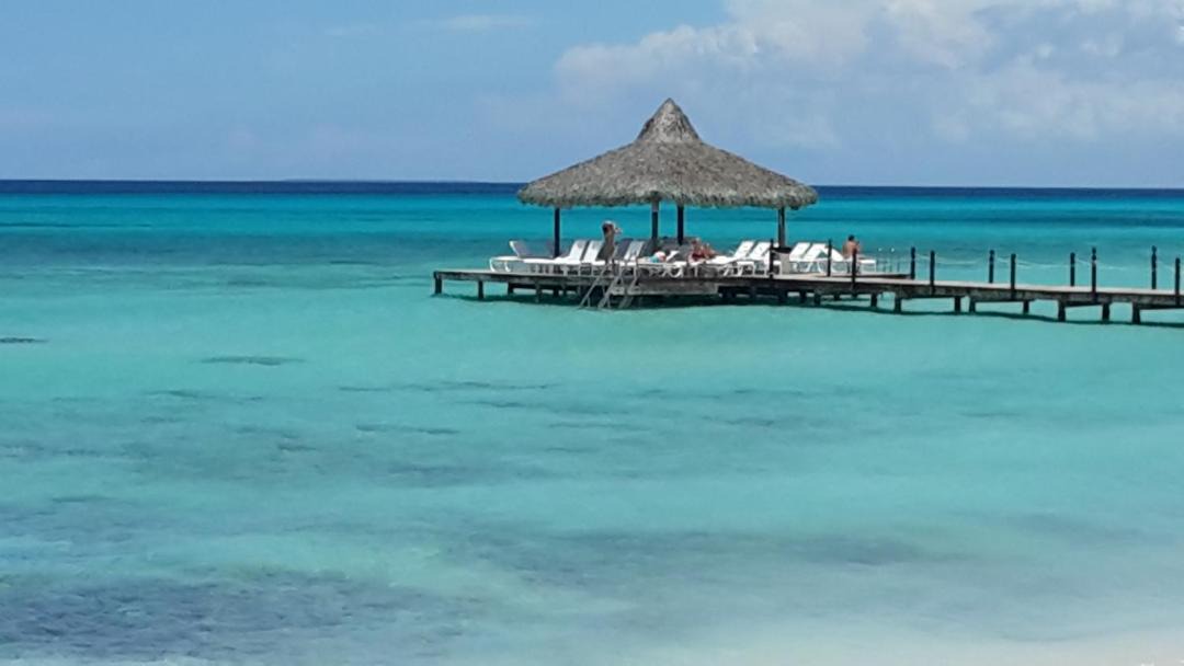 Photo of Others in Dominicus
