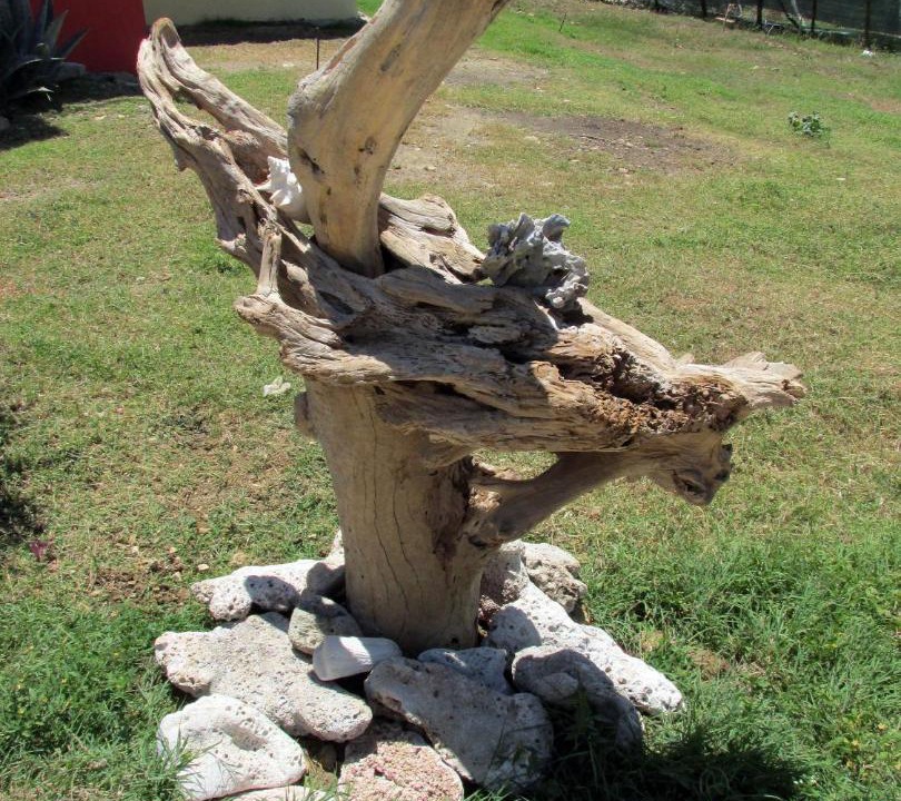 Photo of Others in Punta Rucia