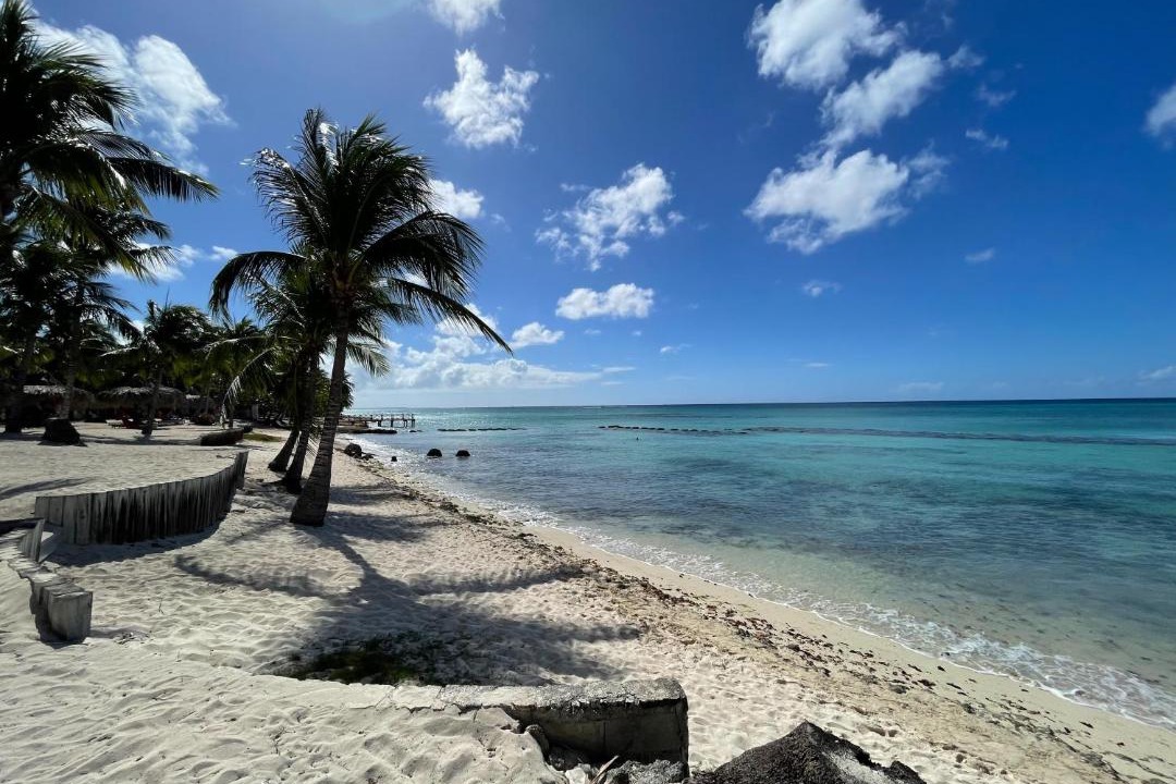 Photo of Others in Dominicus