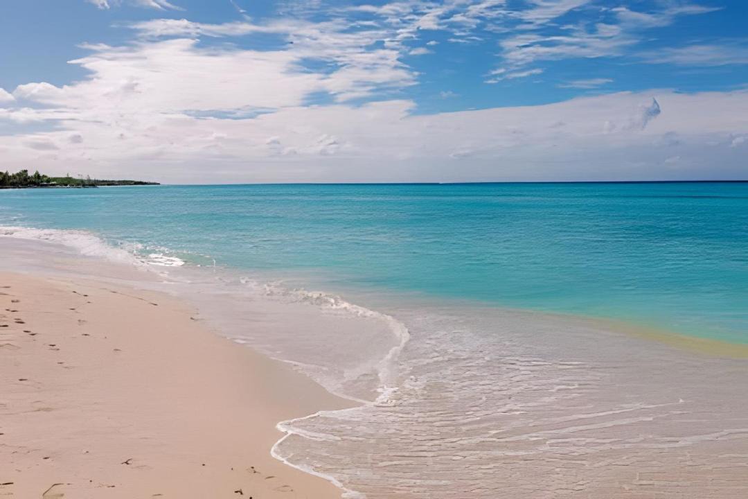 Photo of Others in Dominicus