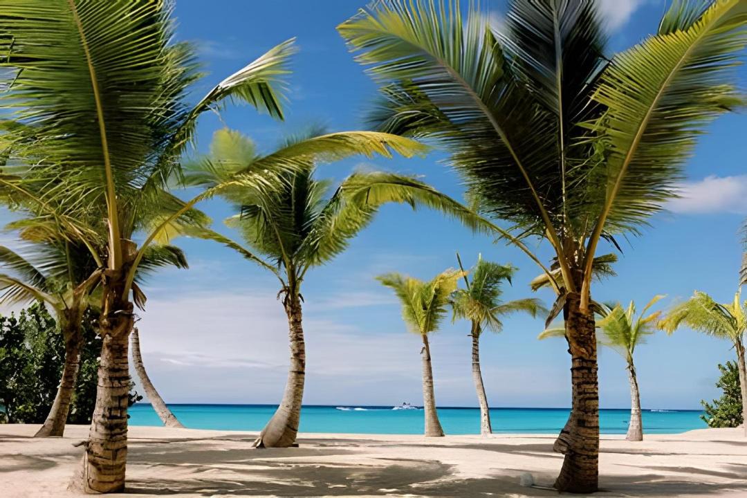 Photo of Others in Dominicus