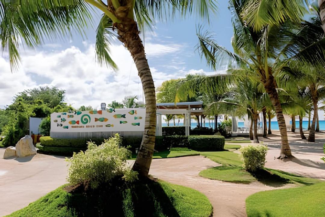 Photo of Others in Dominicus