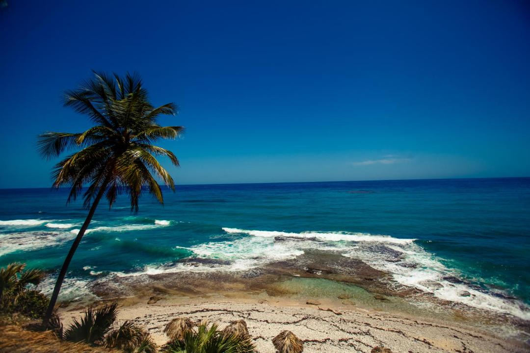 Photo of Others in South Coast