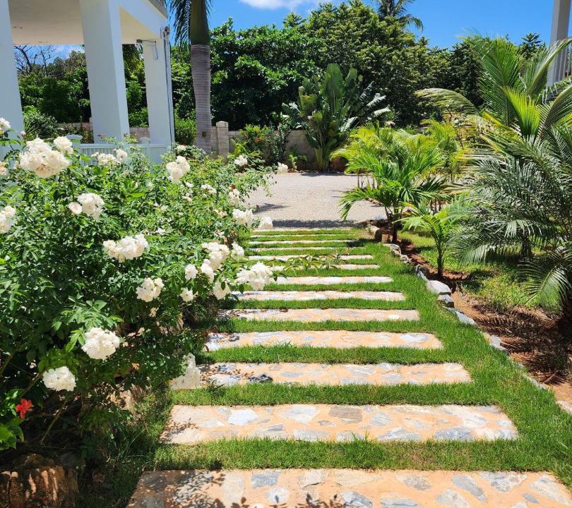 Photo of Others in Las Galeras