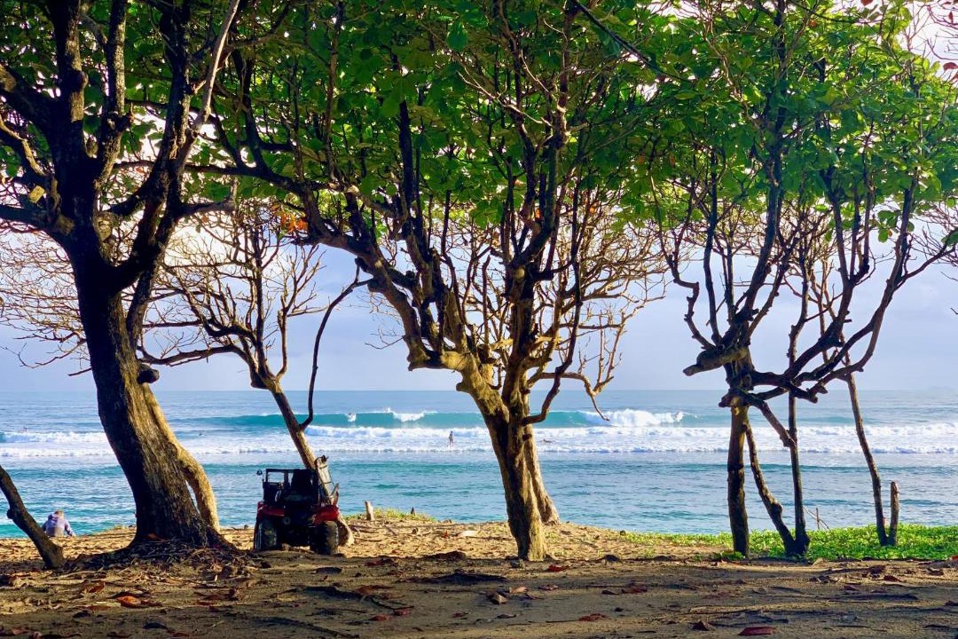 Photo of Others in Cabarete