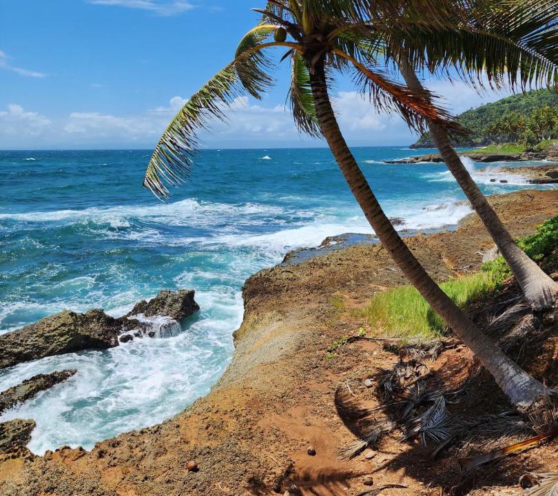 Photo of Others in Las Galeras
