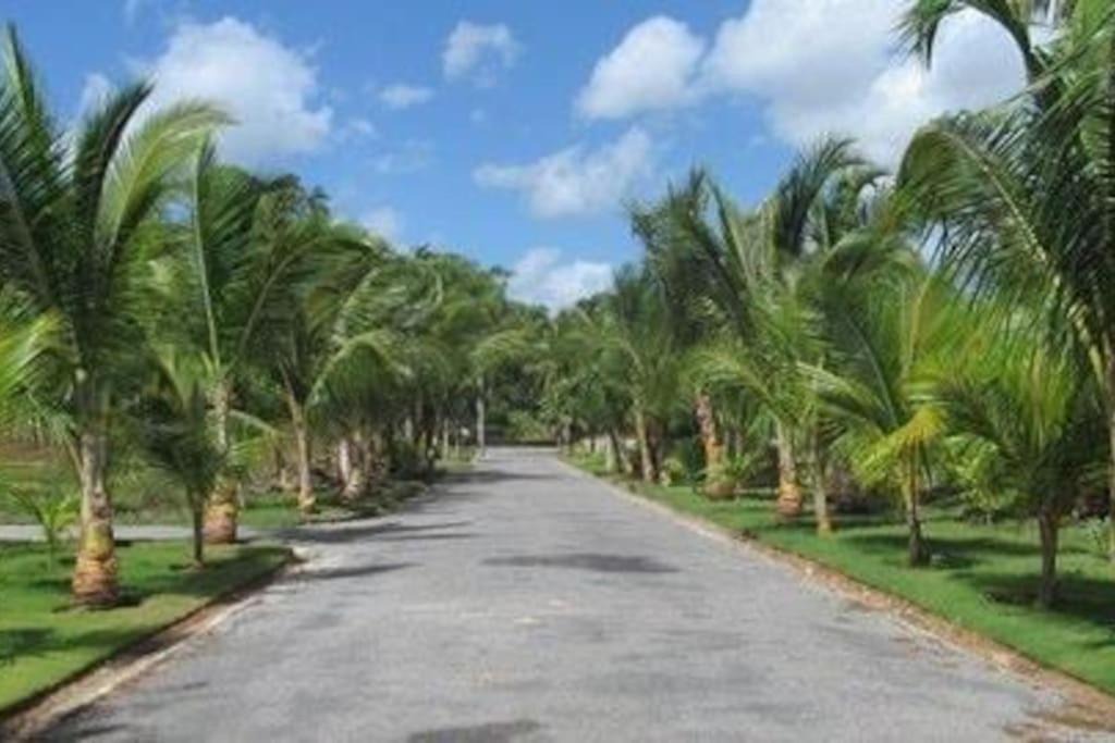 Photo of Others in Las Terrenas