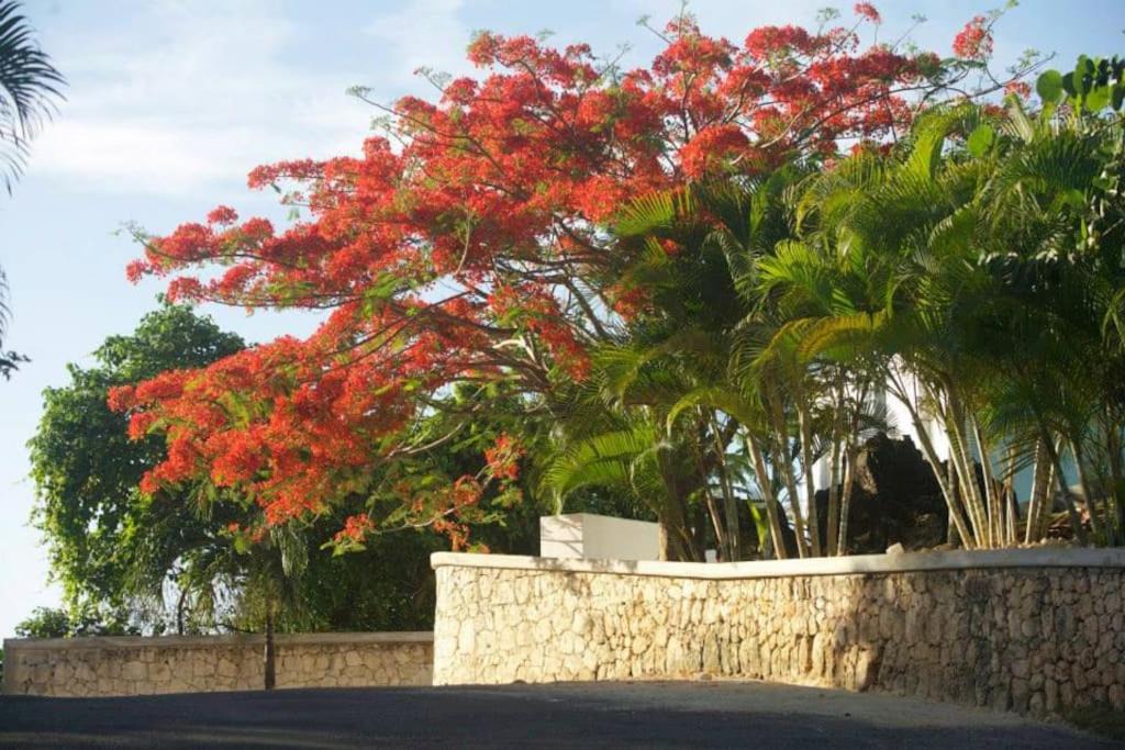 Photo of Others in Las Terrenas