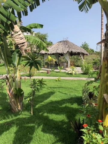 Photo of Others in Las Galeras