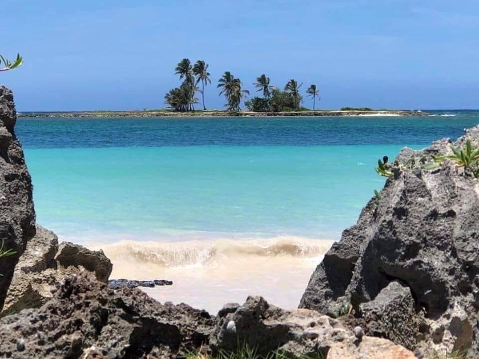Photo of Others in Las Galeras