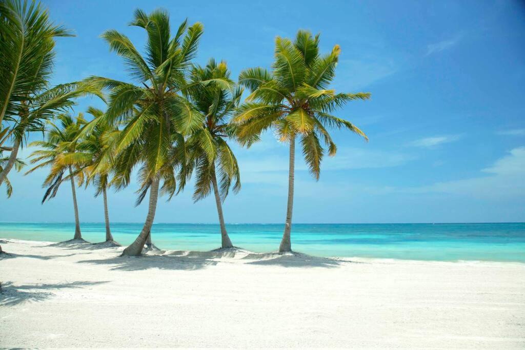 Photo of Others in Bavaro