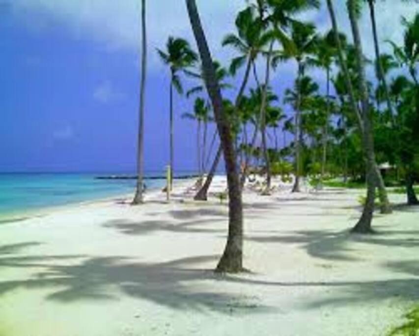 Photo of Others in Bavaro