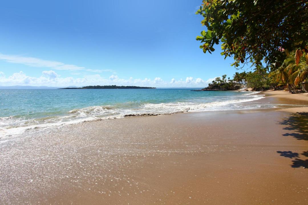 Photo of Others in Samana