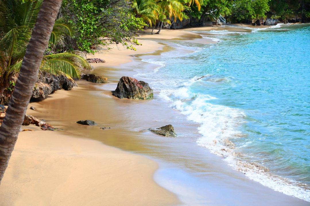 Photo of Others in Samana