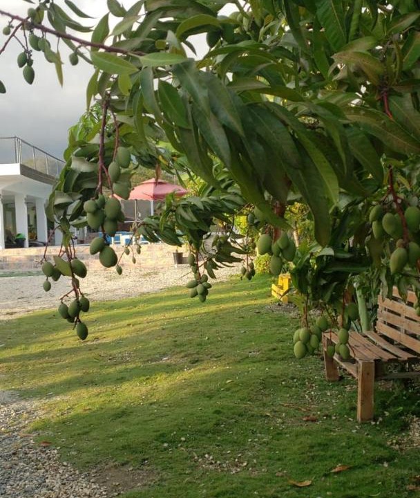 Photo of Others in Juan de Herrera