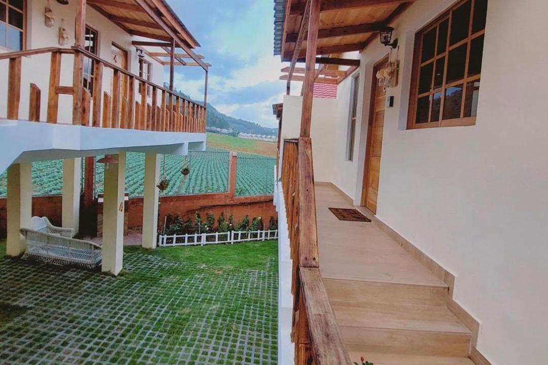 Photo of Others in Constanza
