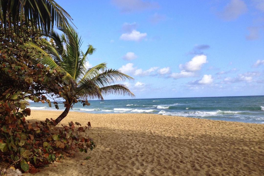 Photo of Others in Cabarete