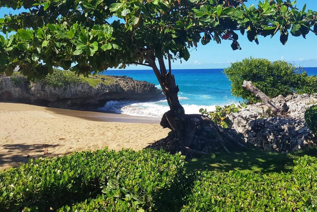 Photo of Outdoor in Playa Chiquita