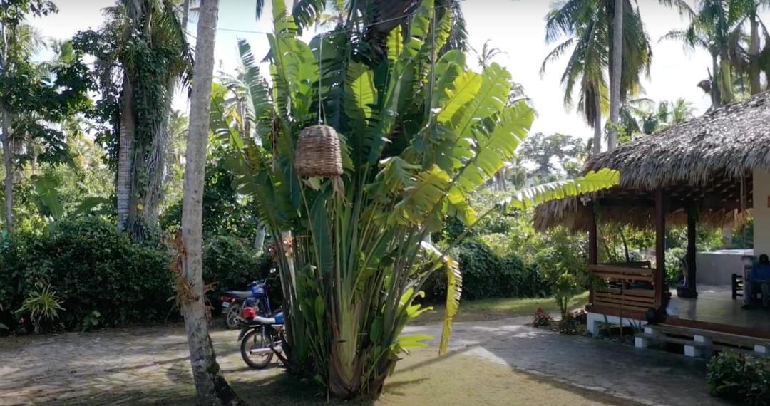 Photo of Others in Las Terrenas