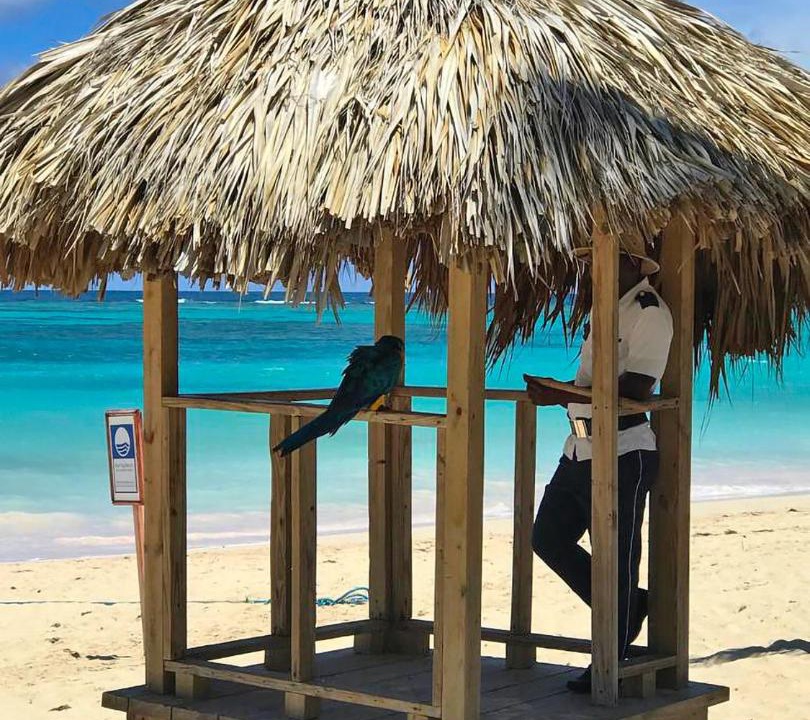 Photo of Others in Bavaro