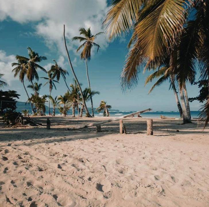 Photo of Others in Las Galeras