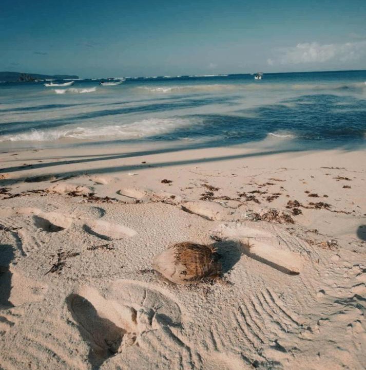 Photo of Others in Las Galeras