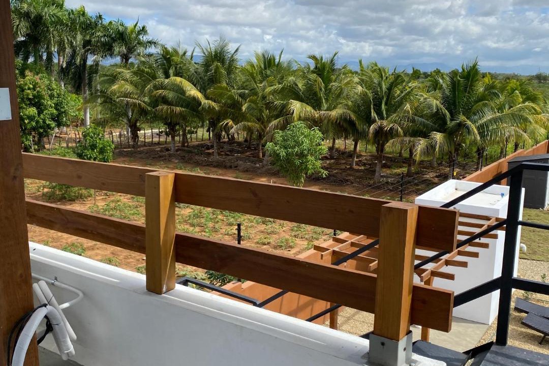 Photo of Others in Guayubin