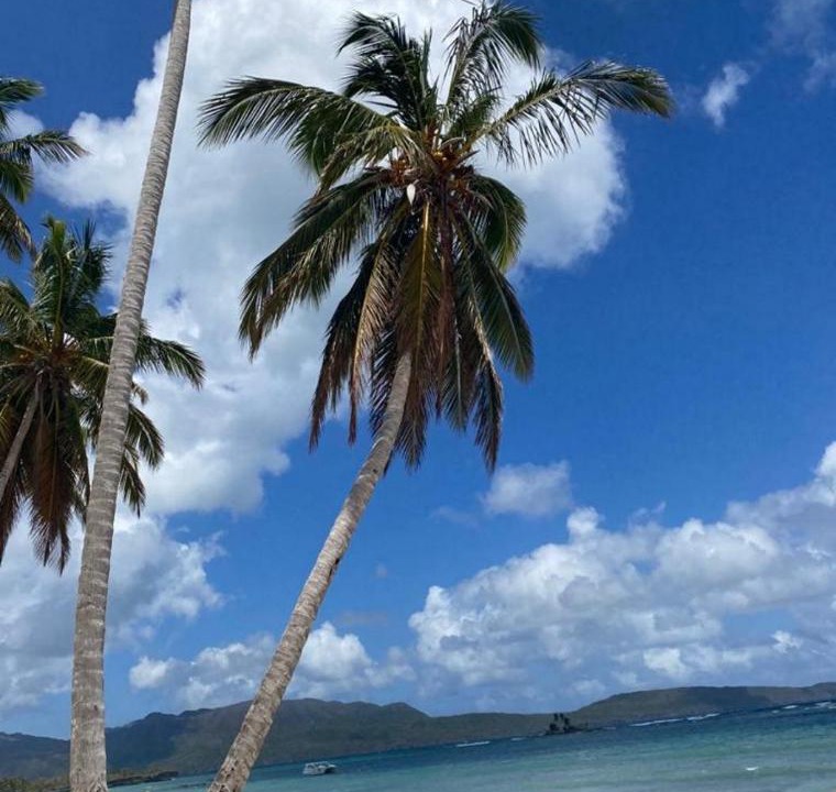 Photo of Others in Las Galeras