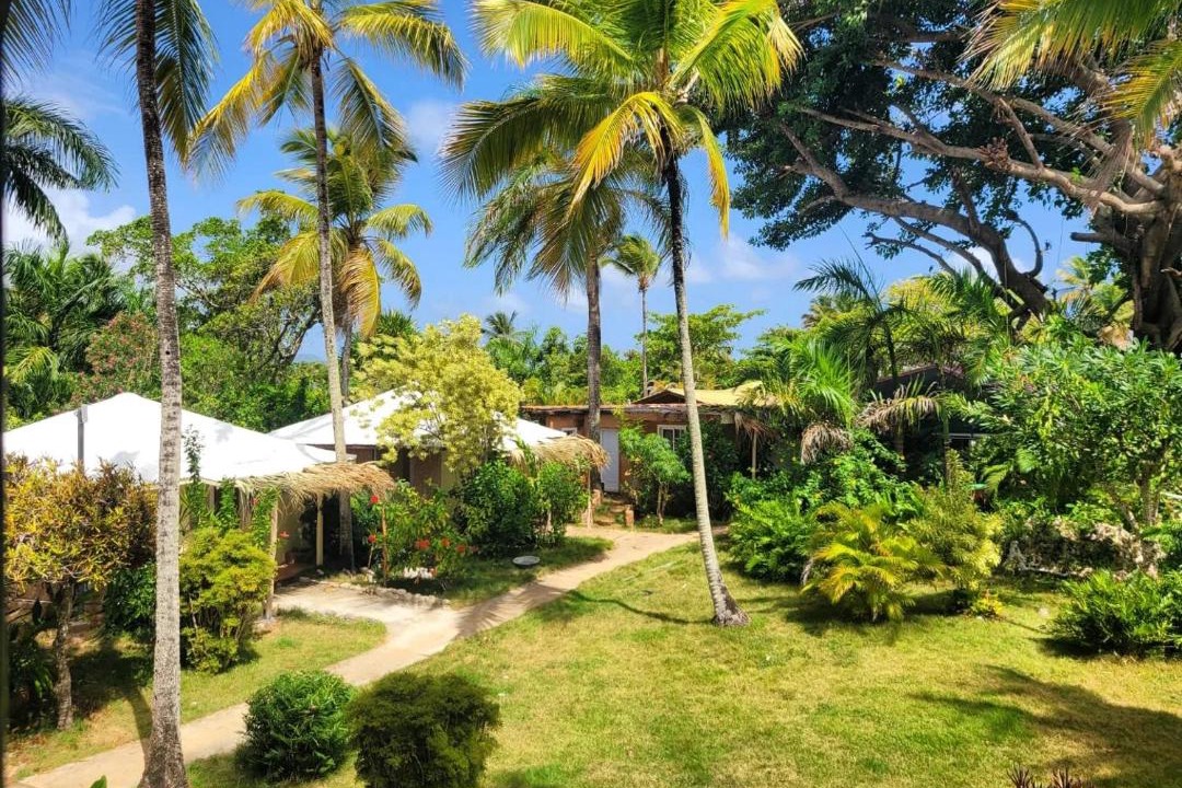 Photo of Others in Las Galeras