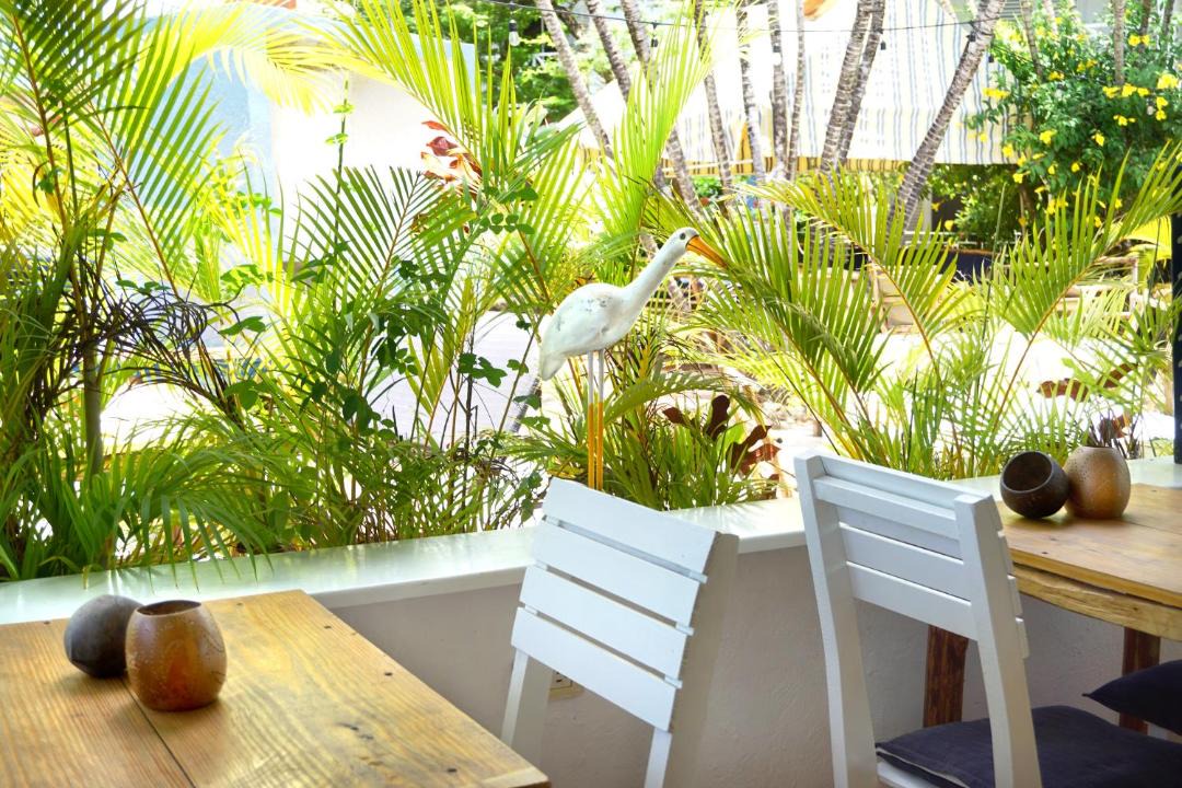 Photo of Others in Las Galeras