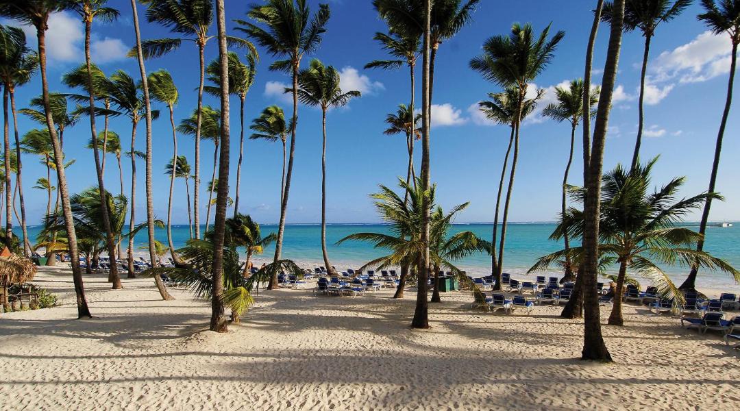 Photo of Others in Playa Bibijagua