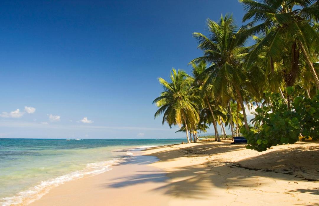 Photo of Others in Las Terrenas