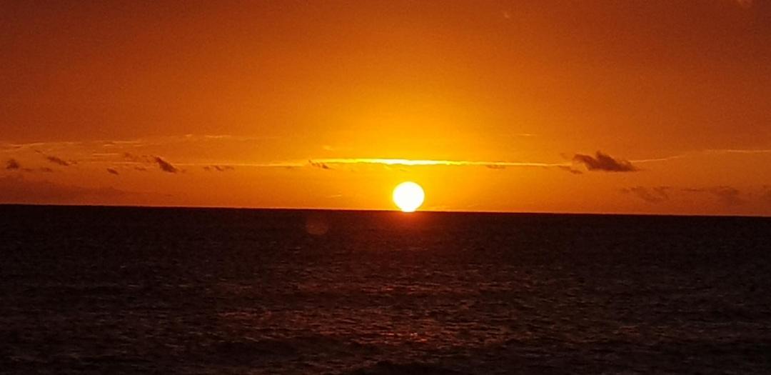 Photo of Others in Dominicus