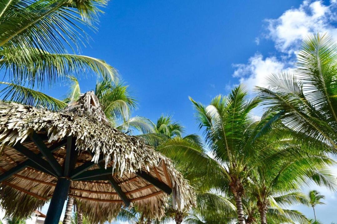 Photo of Others in Dominicus