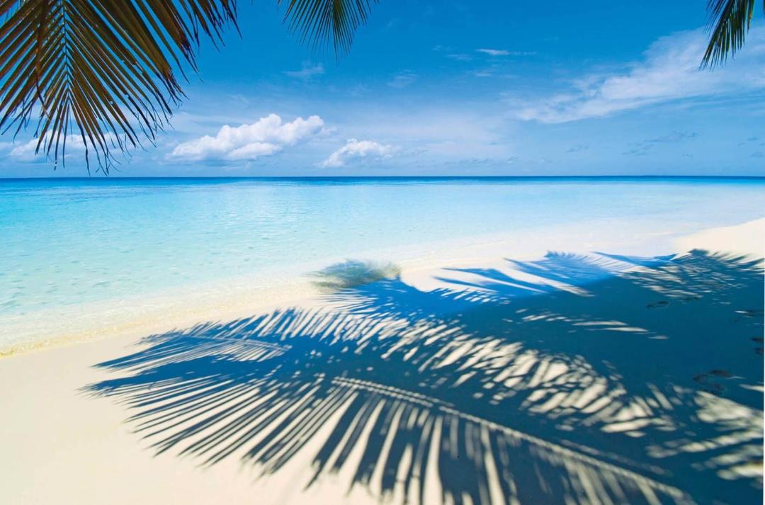 Photo of Others in Las Galeras