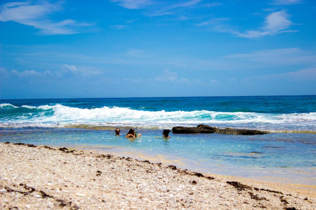 Photo of Others in South Coast