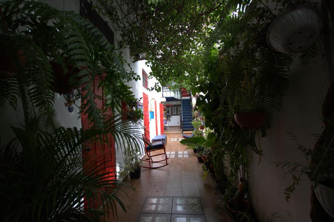 Photo of Others in Ciudad Nueva