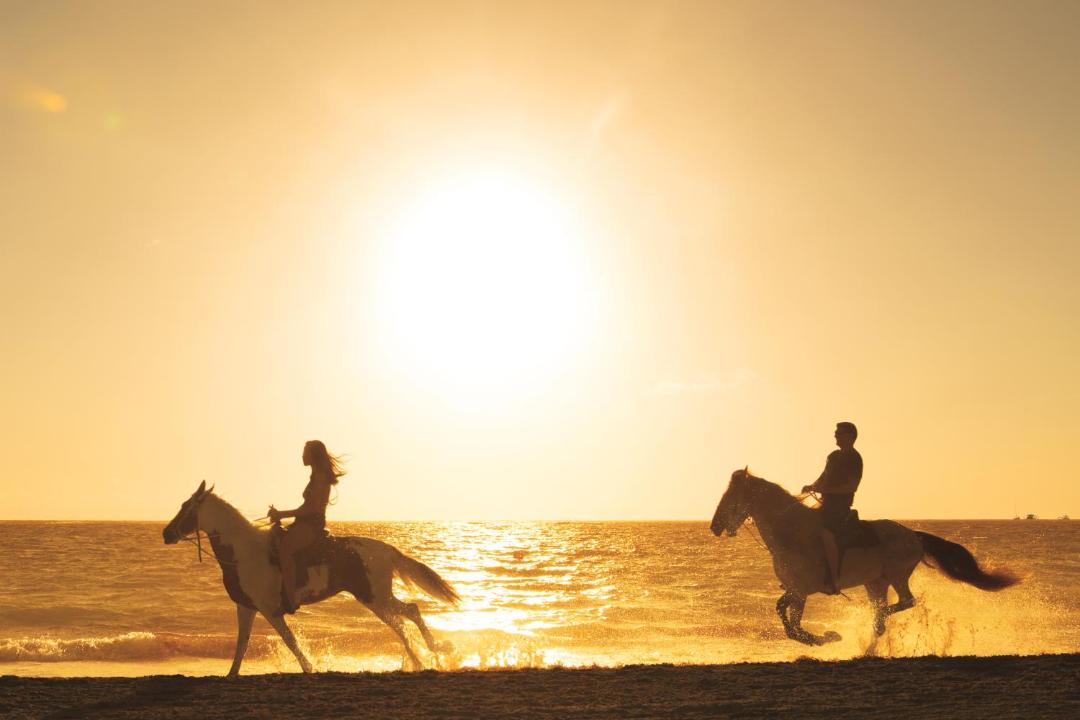 Photo of Others in Punta Cana