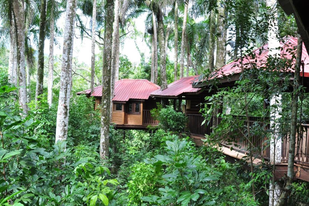 Photo of Others in Paraiso