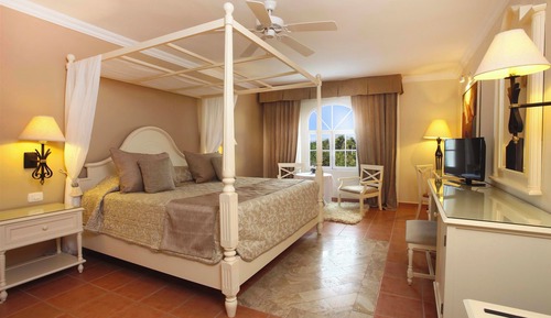 Room, 1 King Bed