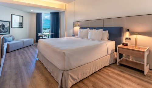 Premium Room, 1 King Bed, Accessible (Accessible Bathtub)