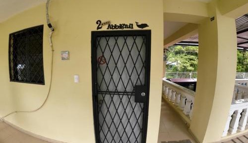 Bed in 6-Bed Dormitory Room