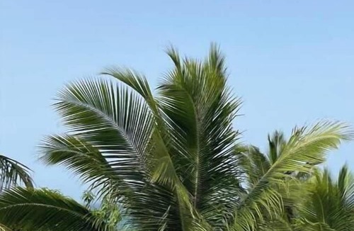 Los Brazos House | luxury Penthouse with beach and mountain views!