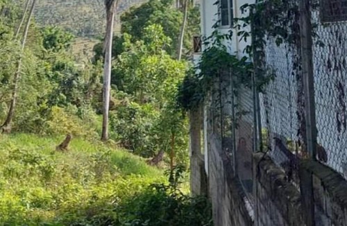 Samana Cabin | Tiny Coco Paradise - Casita Azul
