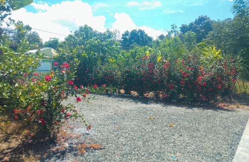 Bonao Cottage | Country house in Bonao with a spacious patio, peace, and nature