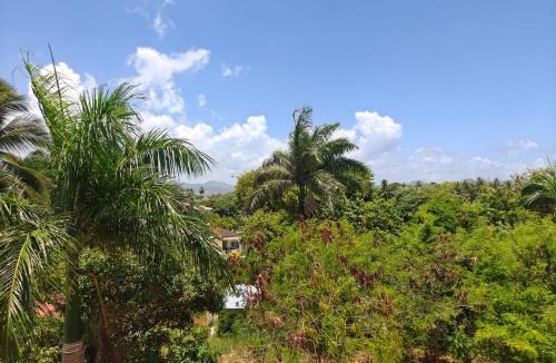 Villa Isabela Apartment | Ocean View 1BR with Rooftop Pool Costambar