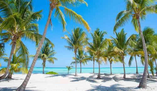 Bavaro Apartment | CORAL Villas & Suites with OCEAN view - POOL - BBQ - SPA