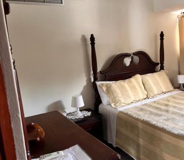Santiago Province Apartment | Apartamento amueblado en Villa Olga